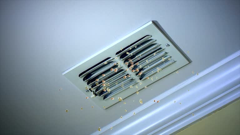 Best Home Air Vent Cleaning  in Paul, ID