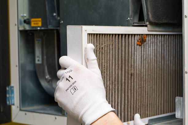 Best Professional Duct Cleaning Services  in Paul, ID