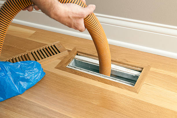 Air Duct Mold Removal in Paul, ID